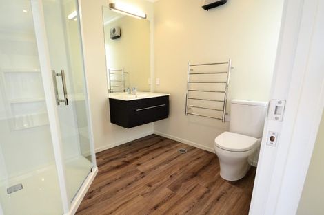 Photo of property in 16 Ascot Street, Richmond, 7020