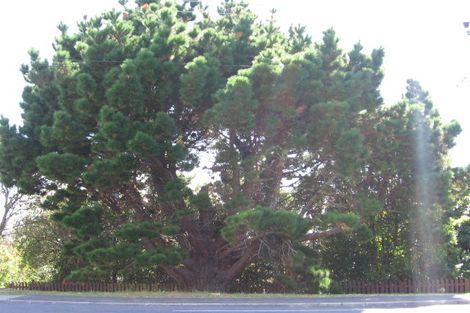 Photo of property in 1/67 Carlisle Road, Torbay, Auckland, 0630