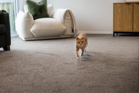 Photo of property in 24 Halloran Place, Massey, Auckland, 0614