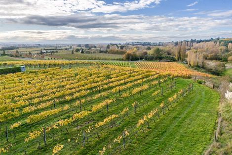 Photo of property in 56 River Road, Havelock North, 4294