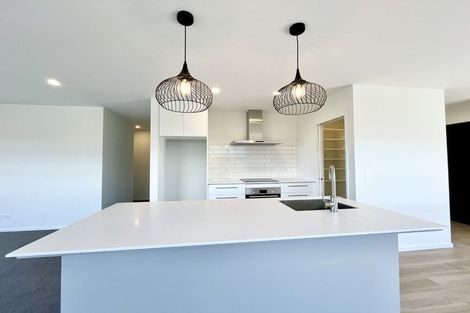 Photo of property in 17 Larch Drive, Rolleston, 7614