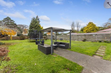 Photo of property in 17 Hobson Street, Levin, 5510