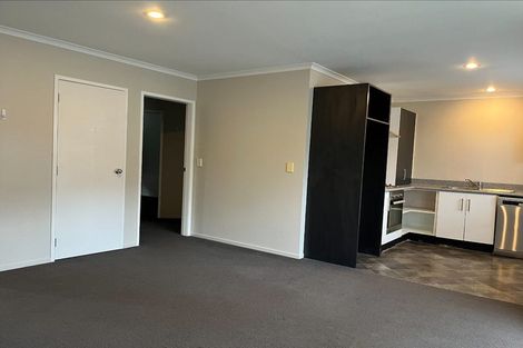 Photo of property in 191b Massey Street, Frankton, Hamilton, 3204