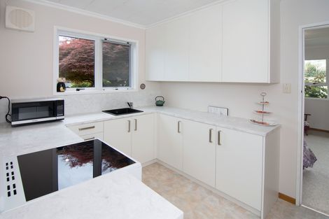 Photo of property in 9 Cambridge Terrace, Masterton, 5810