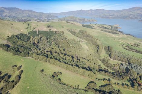 Photo of property in 88 Sawmill Road, Robinsons Bay, Akaroa, 7581