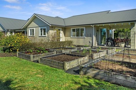 Photo of property in 51r Bradley Avenue, Pyes Pa, Tauranga, 3112