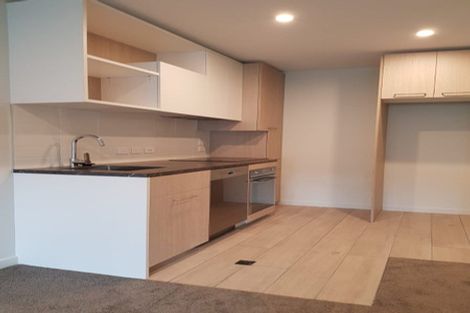 Photo of property in Vsp South, 503/168u Victoria Street, Te Aro, Wellington, 6011