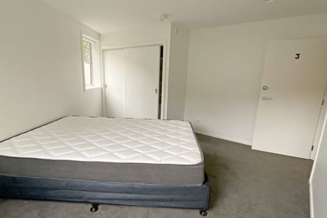 Photo of property in 33 Malvern Street, Woodhaugh, Dunedin, 9010