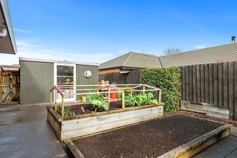 Photo of property in 55 Robert Coup Road, Kaiapoi, 7630