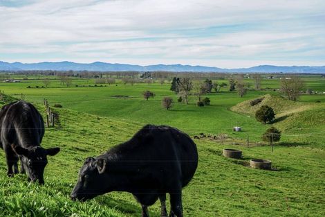 Photo of property in 399 Mahuta Road, Mangatarata, Thames, 3576