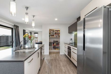 Photo of property in 34 Flint Road, Rolleston, 7614