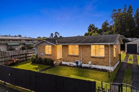Photo of property in 68 Rosser Street, Huntly, 3700