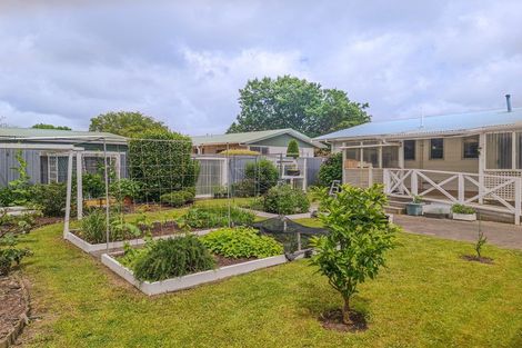 Photo of property in 25 Adkin Avenue, Levin, 5510