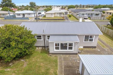 Photo of property in 14 Ferguson Street, Levin, 5510