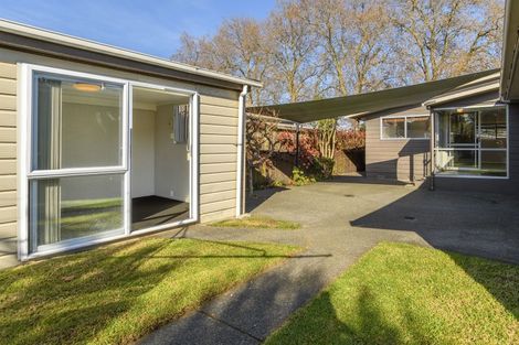 Photo of property in 53 Seventeenth Avenue, Tauranga South, Tauranga, 3112