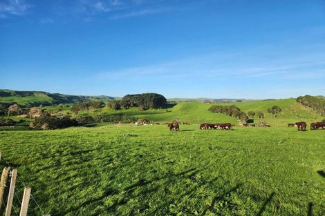Photo of property in 899 Te Akau Road, Te Akau, Ngaruawahia, 3793