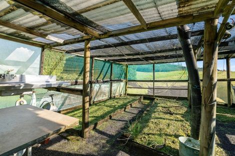 Photo of property in 24 Julian Road, Onemana, Whangamata, 3691