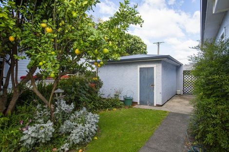 Photo of property in 116 Sheehan Street, Whataupoko, Gisborne, 4010