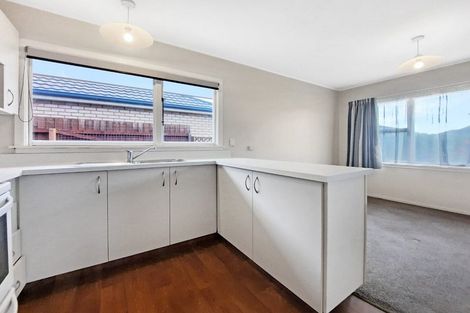 Photo of property in 96a Briggs Road, Shirley, Christchurch, 8052