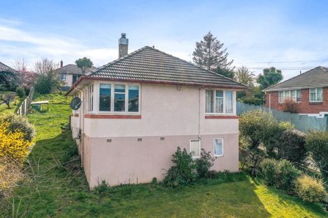 Photo of property in 39 Canada Street, Watlington, Timaru, 7910