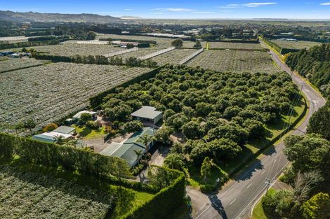 Photo of property in 204a No 2 Road, Te Puke, 3182