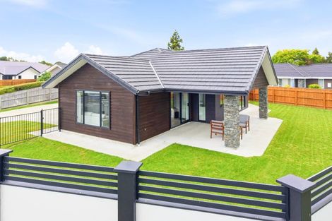 Photo of property in 50 Nancy Avenue, Feilding, 4702
