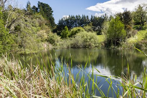 Photo of property in 289 Wright Road, Aongatete, Katikati, 3181