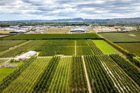 Photo of property in 5 Feltwell Place, Mangere Bridge, Auckland, 2022