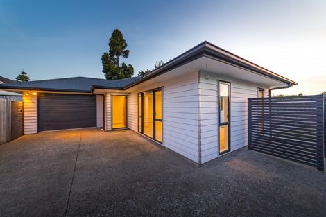 Photo of property in 63b Weston Avenue, Roslyn, Palmerston North, 4414