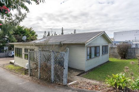 Photo of property in 99 Naylor Street, Hamilton East, Hamilton, 3216