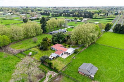 Photo of property in 1212 Kaipaki Road, Cambridge, 3495