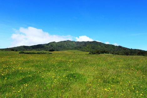 Photo of property in 696b Te Hutewai Road, Raglan, 3296