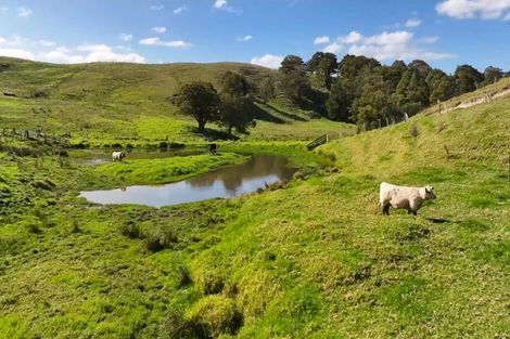 Photo of property in 122 Hurndall Street East, Maungaturoto, 0520