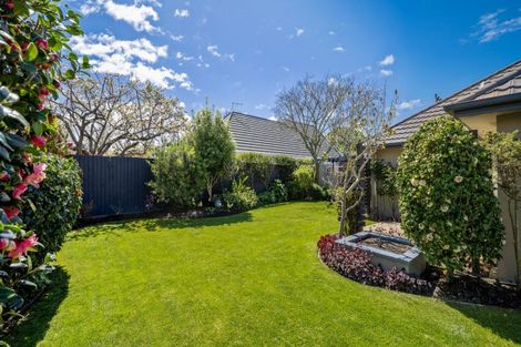 Photo of property in 51 Murphys Road, Springlands, Blenheim, 7201
