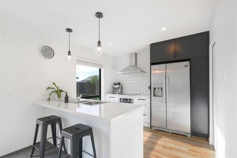 Photo of property in 3 Flock Street, Rolleston, 7615