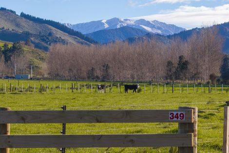 Photo of property in 349 Haringa Road, Carrington, Carterton, 5791