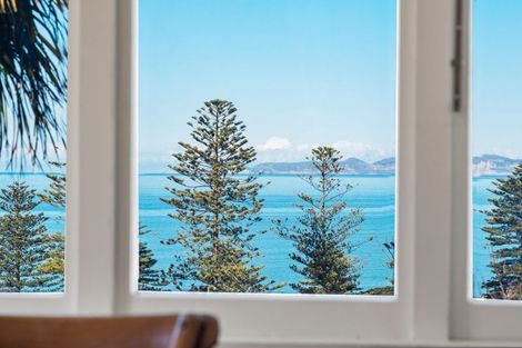 Photo of property in 16 Brewster Street, Bluff Hill, Napier, 4110