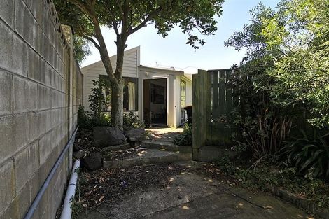 Photo of property in 103d Coromandel Street, Newtown, Wellington, 6021
