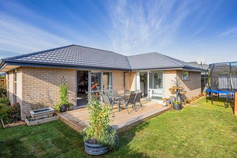 Photo of property in 8 Ellesmere Street, Marshland, Christchurch, 8083