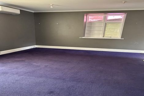 Photo of property in 42 Durham Street, Levin, 5510