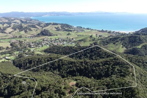 Photo of property in 109 Kawhina Lane, Kuaotunu, Whitianga, 3592