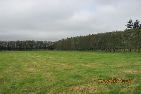 Photo of property in 36 Burdon Road, Woodbury, Geraldine, 7991