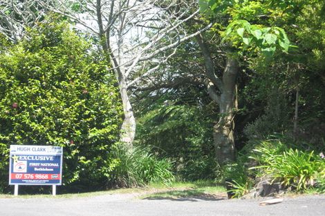 Photo of property in 295a Minden Road, Minden, Tauranga, 3176