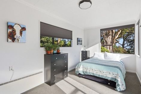 Photo of property in 47 Every Street, Andersons Bay, Dunedin, 9013