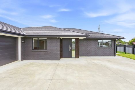 Photo of property in 50 Nancy Avenue, Feilding, 4702