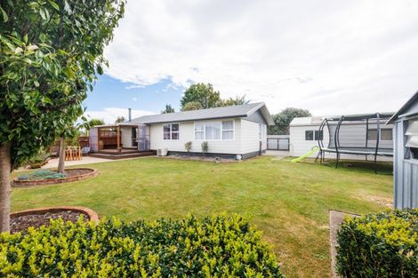 Photo of property in 20 Wills Crescent, Ashhurst, 4810