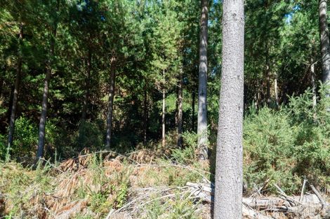 Photo of property in 96 Sunridge Park Road, Morrinsville, 3375