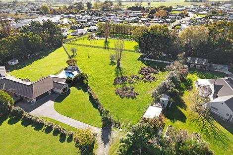 Photo of property in 7b Sherwill Street East, Feilding, 4702
