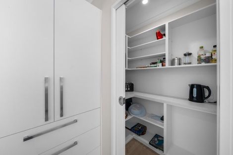 Photo of property in 22 Syrah Lane, Martinborough, 5711