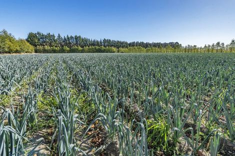 Photo of property in 581 Pesters Road, West Eyreton, 7475